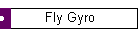 Fly Gyro